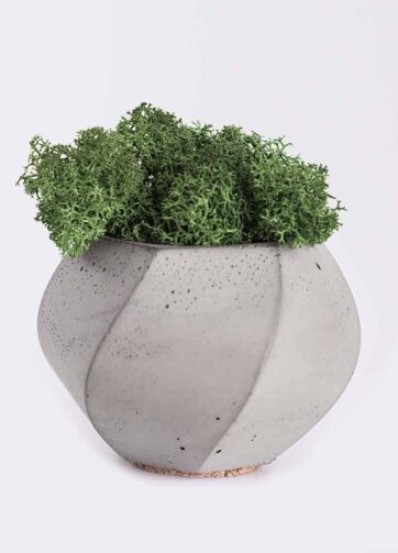 plant4 free img